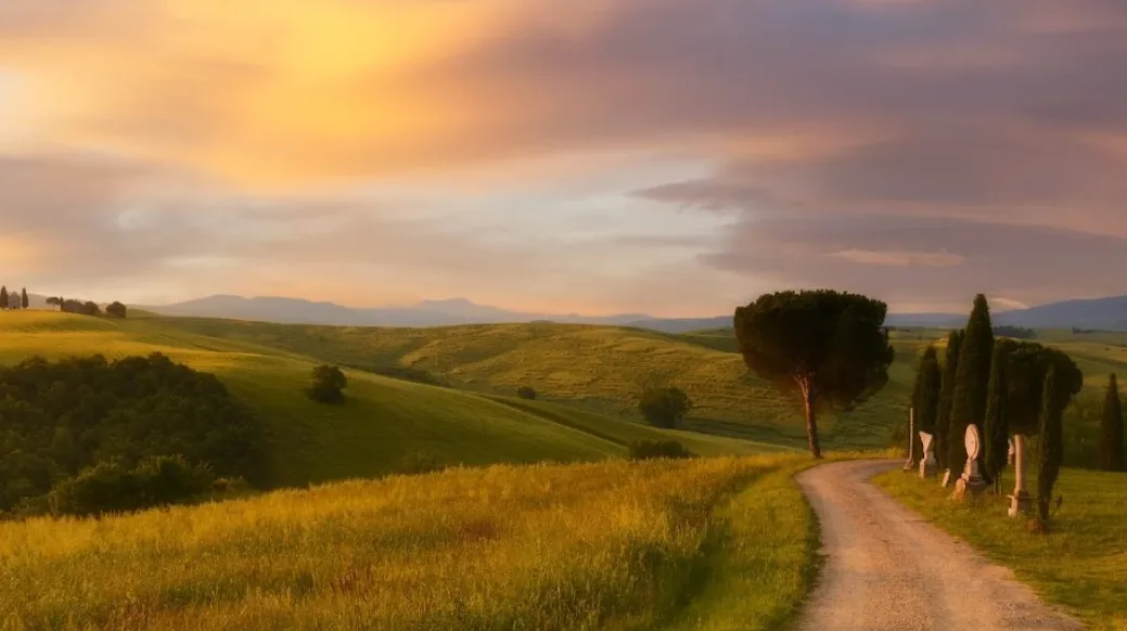 Strada di campagna tra prati e alberi al tramonto